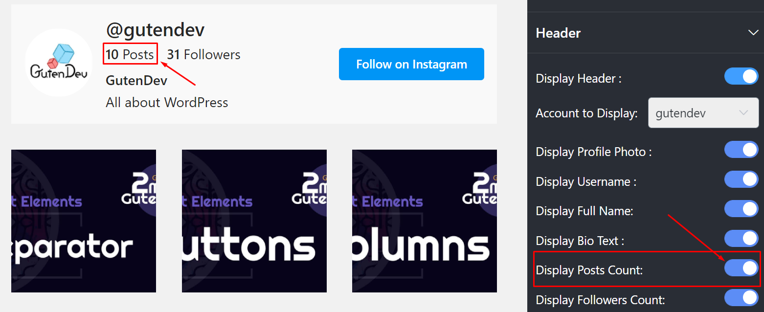 Display posts count Instagram settings
