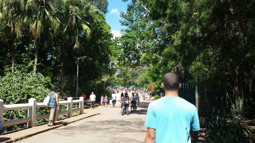 parque-ibirapuera-o-que-fazer-em-sao-paulo-lary-di-lua-3