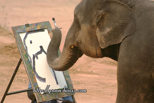 الفيلة عشقت فن الرسم TbijEGHMyzFyiqJVXaHW-GdMAYdmTdO-u3eaHdnHJ7gkNdkc3Nmqe2_V8Ldzh_ydwA0Mk353MbFQ2miufEKkvssAbw=s512