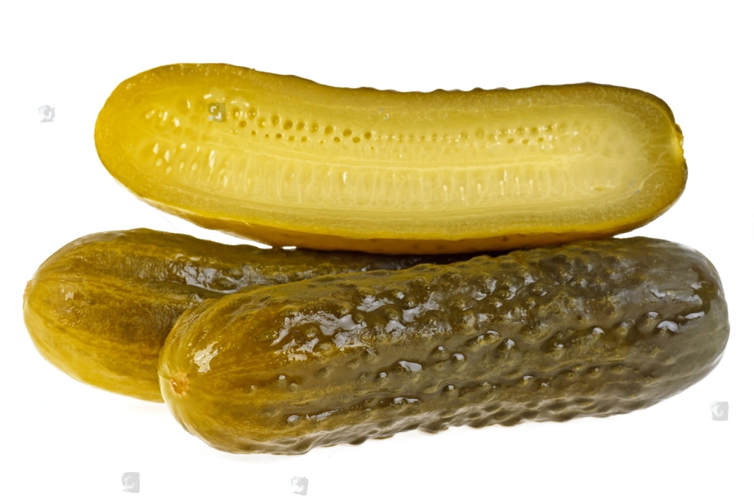 Can Dogs Eat Dill Pickles? 3 TcmsbEIMsBqeFUhHuYXUCL9r7fg6yGfOJ4FpWjOfo UFVGINyAz8Wwbgc0Z4NrT6U9d dR