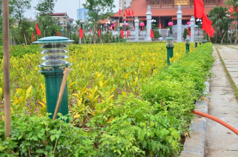 Đèn sân vườn cây thông Đèn sân vườn cây thông