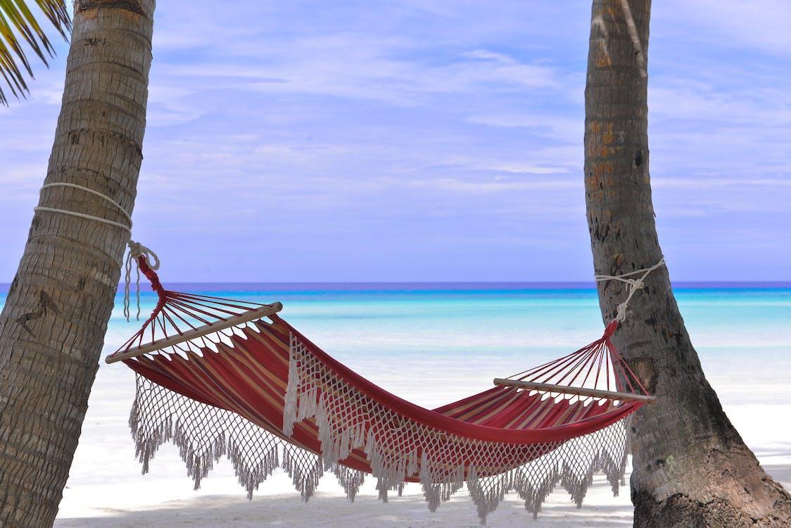 Free Red Hammock Tied Between Two Trees Stock Photo
