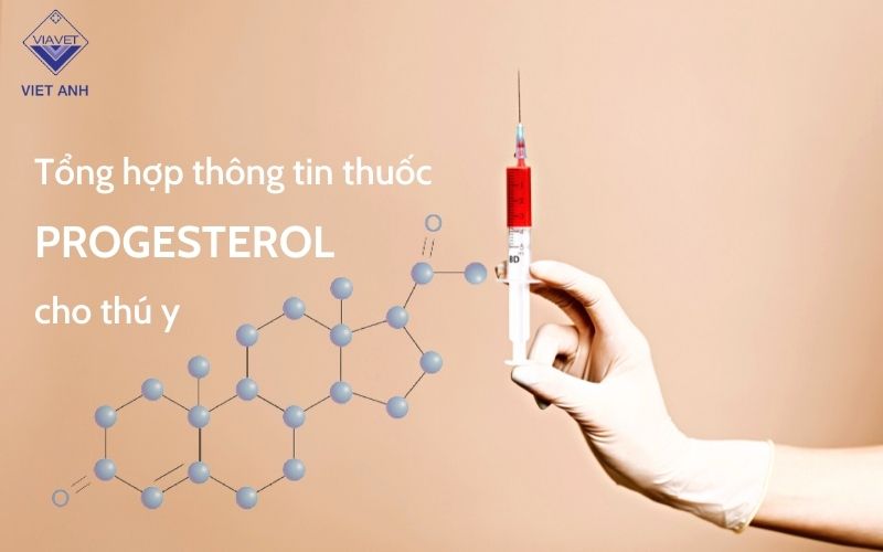 Tổng hợp thông tin thuốc Progesterol cho thú y