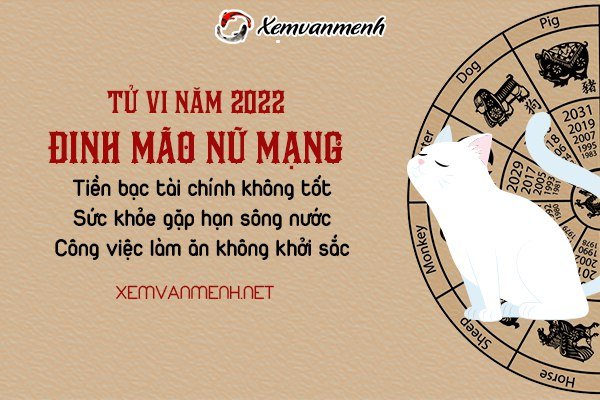 tu-vi-tuoi-dinh-mao-nam-2022-nu-mang-1987