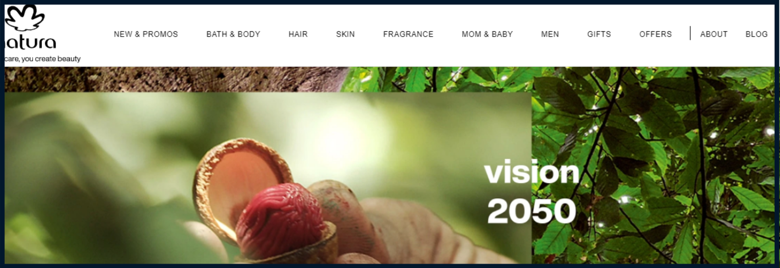Natura's website screenshot of homepage