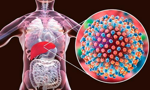 Чем опасен гепатит С для окружающих?