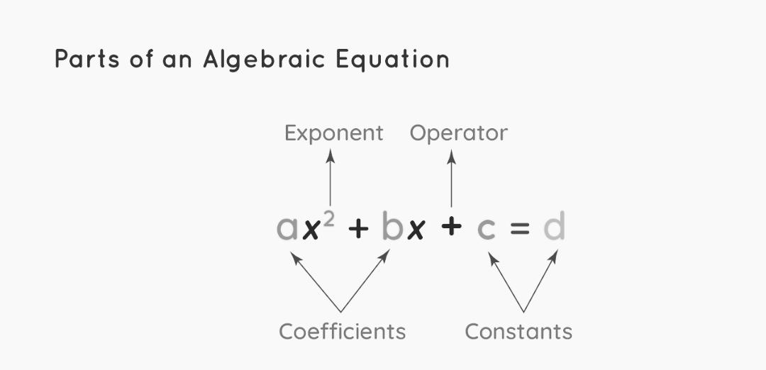 Overview on basics of algebra