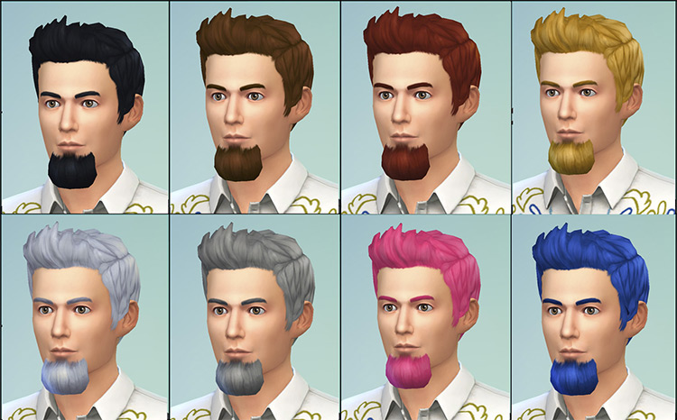 Bushy Goatee / Sims 4 CC