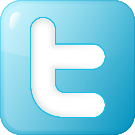 File:Twitter icon.png