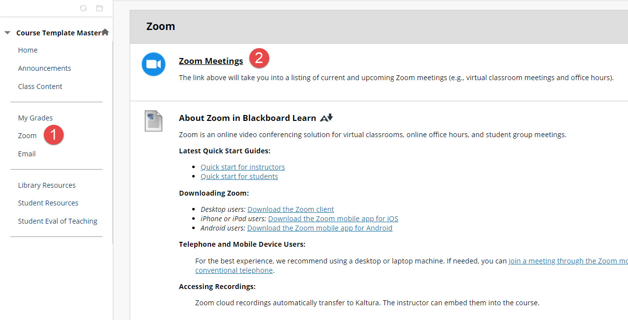 Zoom integration