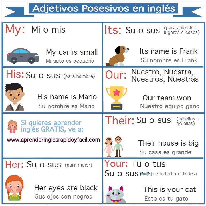 Adjetivos Posesivos en inglés (my, your, his, her, our, their) con ejemplos