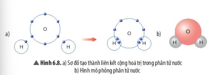 Câu hỏi trang 41 SGK TN&XH 7 CTST tập 1