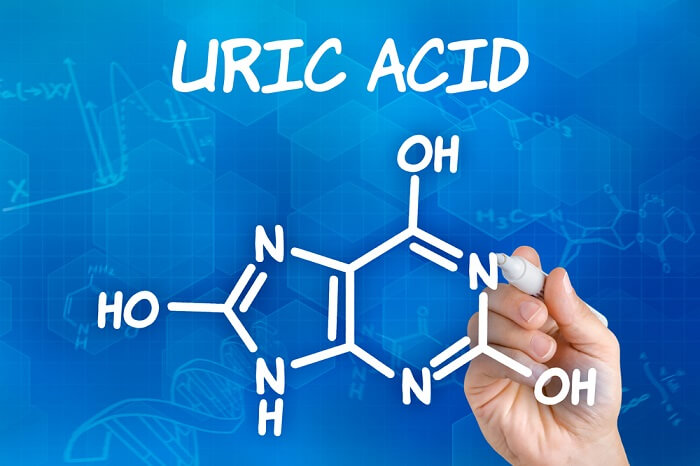 Cấu trúc acid uric 