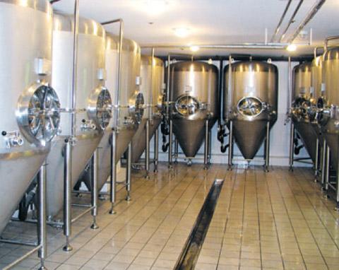 Bio Equipment | Bench Tio Fermenter, Pilot Scale Fermenter, Air Lift Bioreactor, Beer fermenter | FERMENTEC