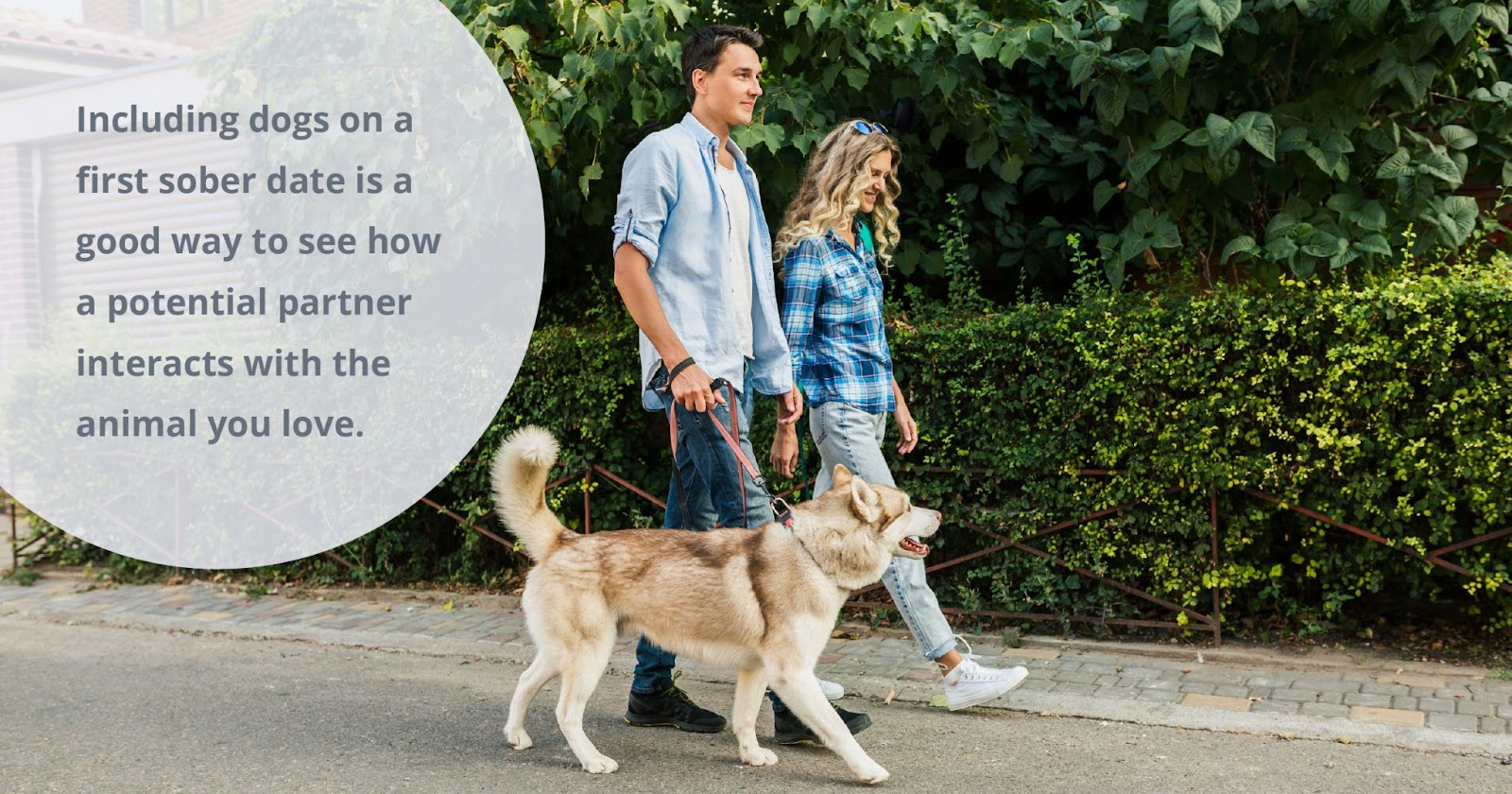 including dogs on a first sober date is a good way to see how a potential partner interacts with the animal you love