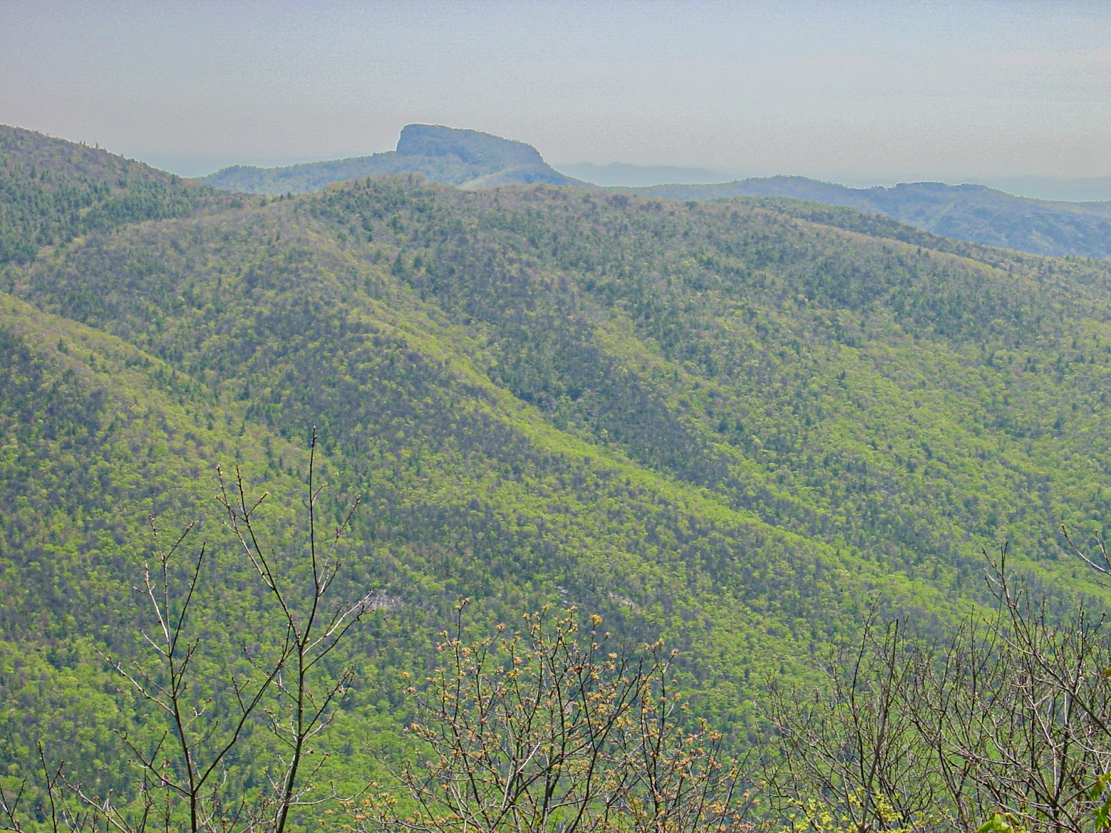 A mesa style peak surrounded by the contour of green hills with shrubs in the foreground. 