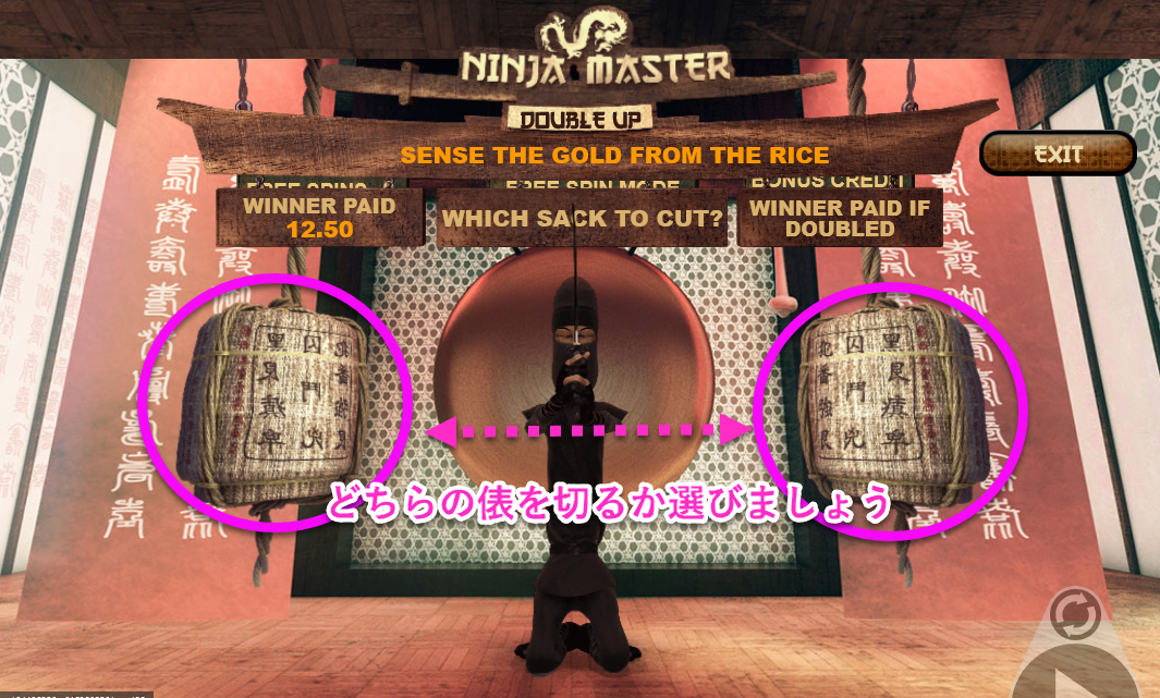Ninja Master luckyniki