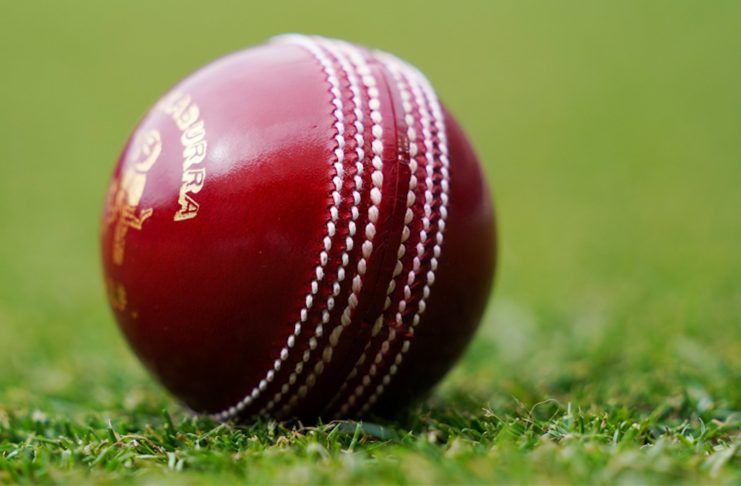 cricket ball price