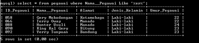 C:\Users\Aras\Documents\Tugas semester 1\Basis data\Tugas besar\7 Like, Order by, Grup By, Asc, Des\Like\Pegawai\LIke 45.PNG