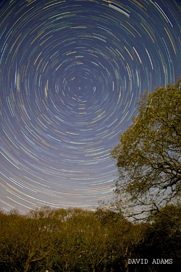 Starry skies at the campsite in Sussex