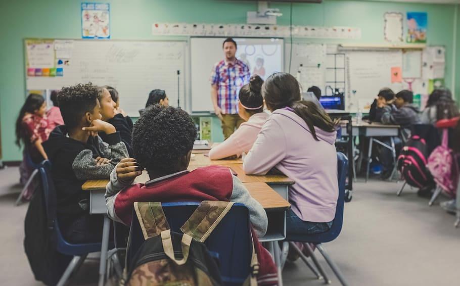 man, woman, sitting, chairs, standing, front, people, class, classroom, school, teacher, tutor, group of people, men, real people, women, education, adult, table, indoors, group, large group of people, casual clothing, learning, seat, rear view, boys, males, 4K