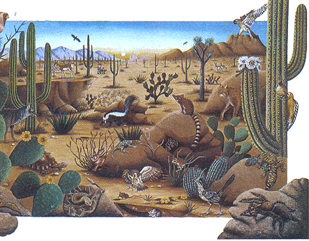 Resultado de imagen para desierto flora y fauna