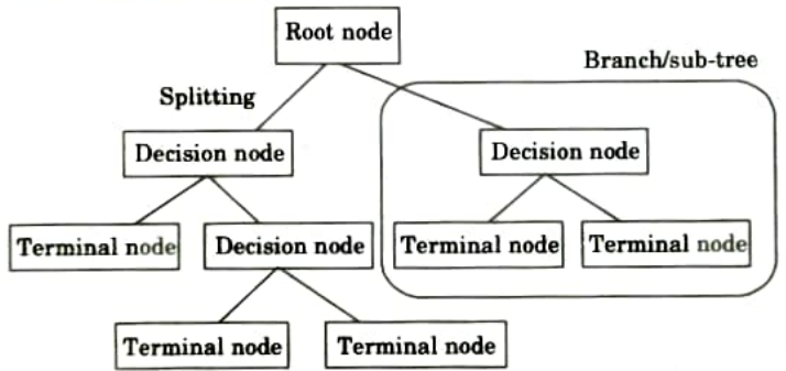 Describe the basic terminology used in decision tree. Machine Learning Techniques