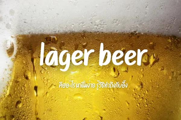 lager beer คืออะไร หาดื่มง่าย รู้วิธีทำถึงกับอึ้ง 1