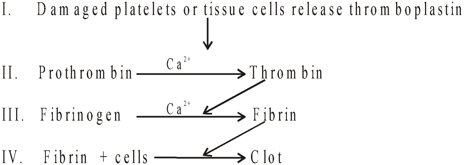 Blood Clotting