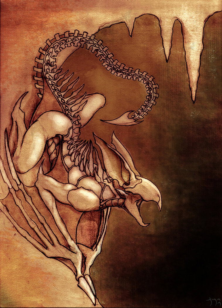 http://th03.deviantart.net/fs70/PRE/i/2013/108/a/2/dragon_bat_by_dragon_bat-d2b44s1.jpg