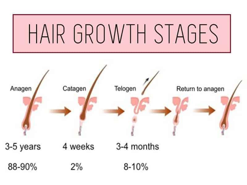 How Fast Does Human Hair Grow? 3 Things You Didn't Know - Layla Hair -  Shine your beauty!