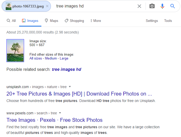 google-visual-ai-tree-search-API