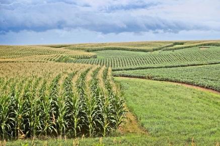 Farming Investments to Cut Your Stock Market Risk - Barron's