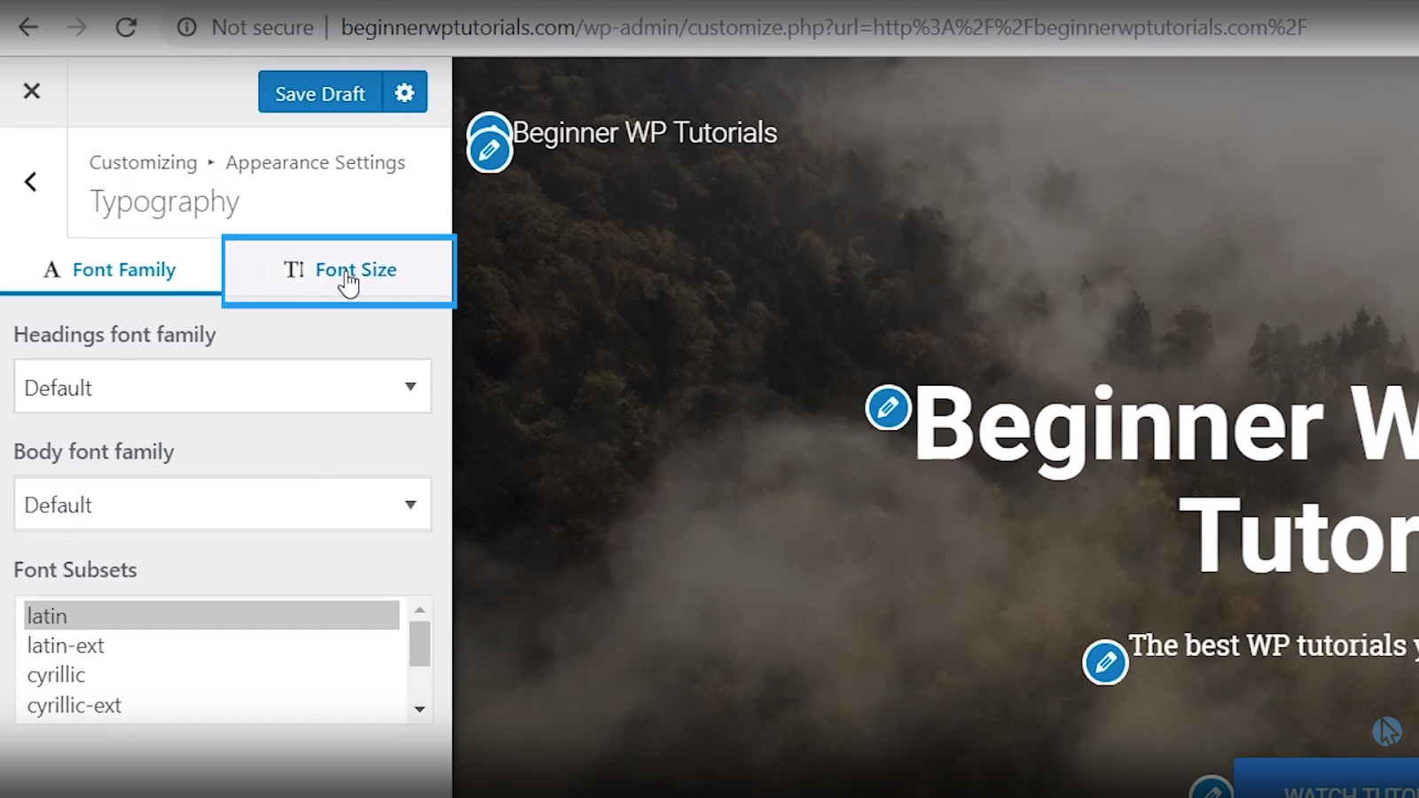 font size wordpress tutorial for beginners