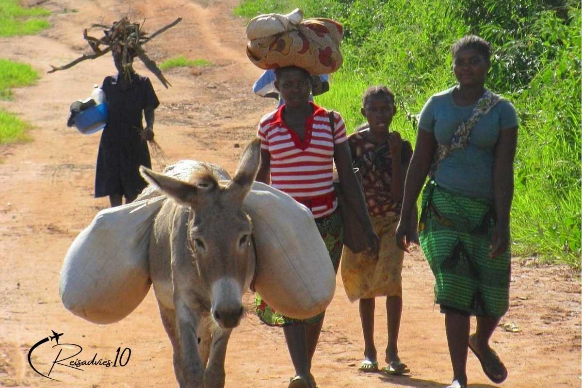Uw reis plannen_ wat u moet weten voordat u vertrekt Mozambique - Reisadvies 10