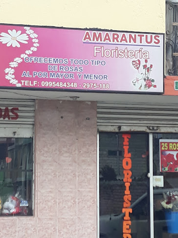 Amarantus Floristería - Quito