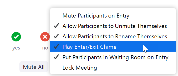in zoom call setting for entrance chime