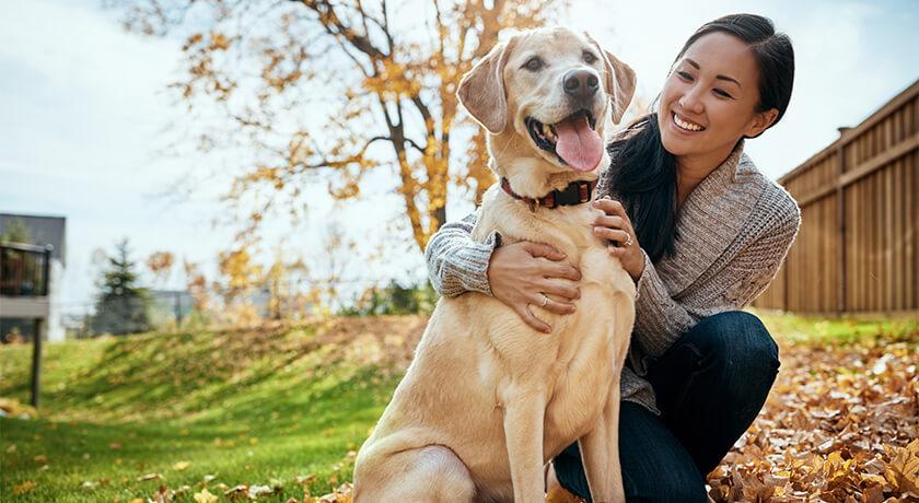 10 Ways To Show Love To Your Dog - When you keep your dog happy she will be  able to live a better, healthier life