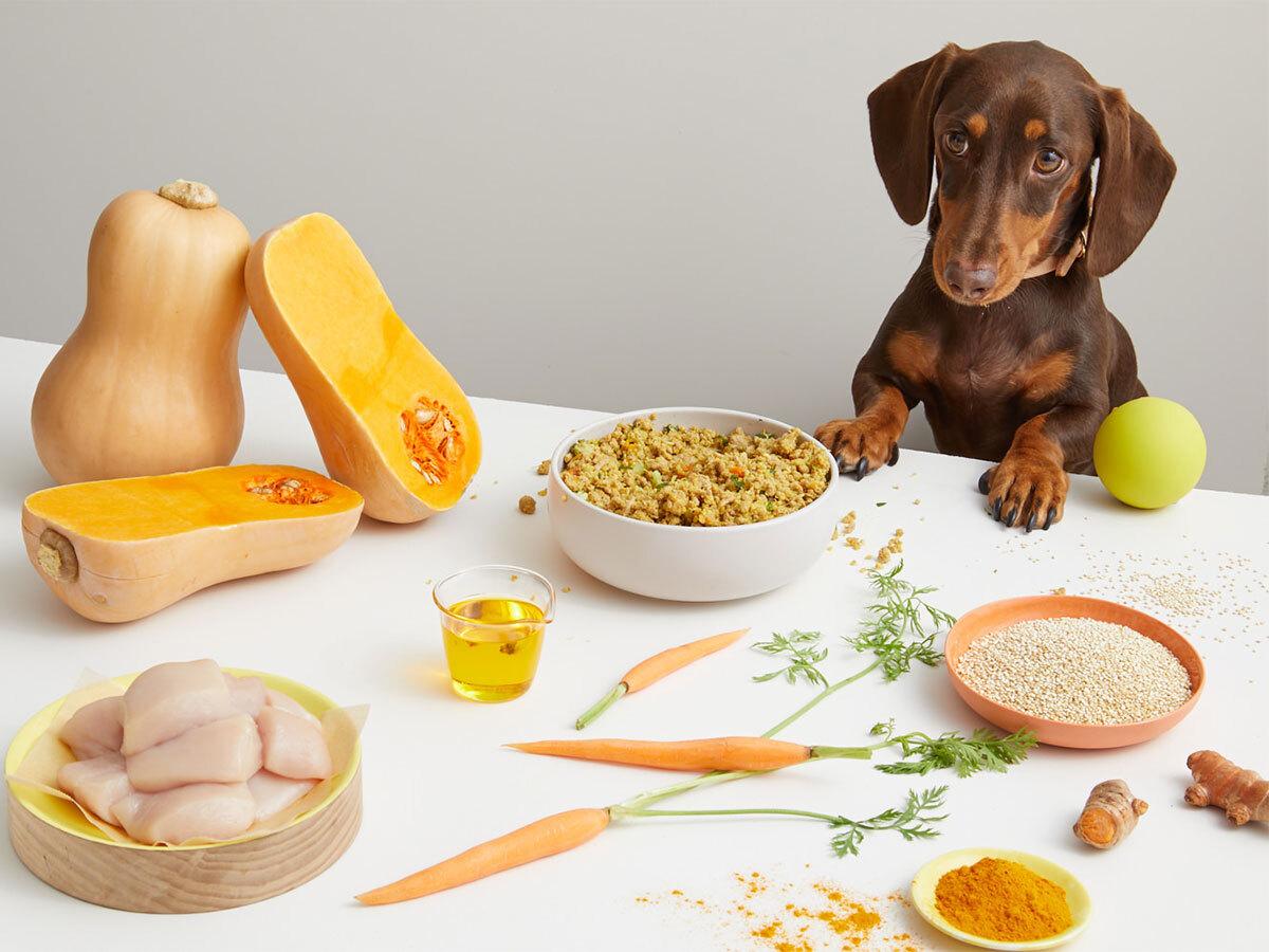 Why superfoods are good for dogs
