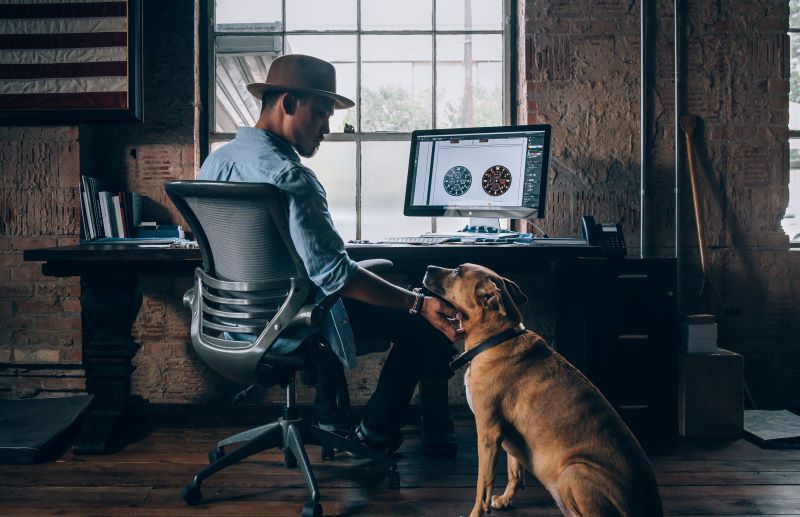 A man petting his dog while researching how to make 10k a month.
