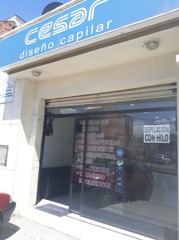 Cesar Diseño Capilar