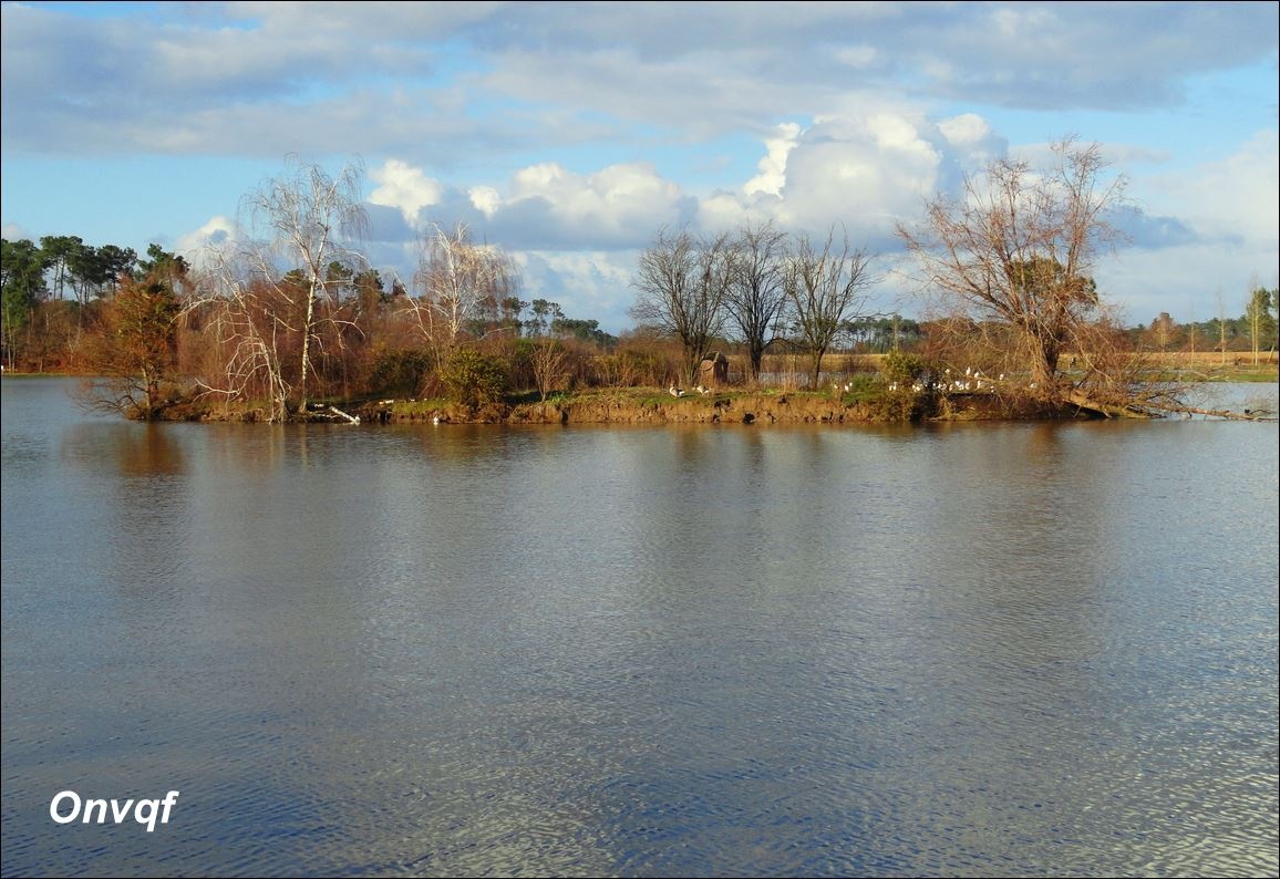 ob_b70718_lac-de-tastoa-estibeaux-landes-40-n.JPG