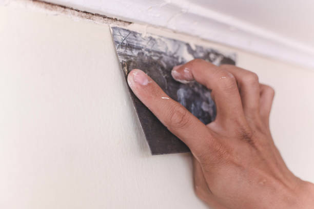 How to Plaster a Ceiling, Pristine Painters