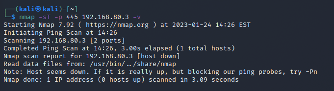 Nmap connect scan