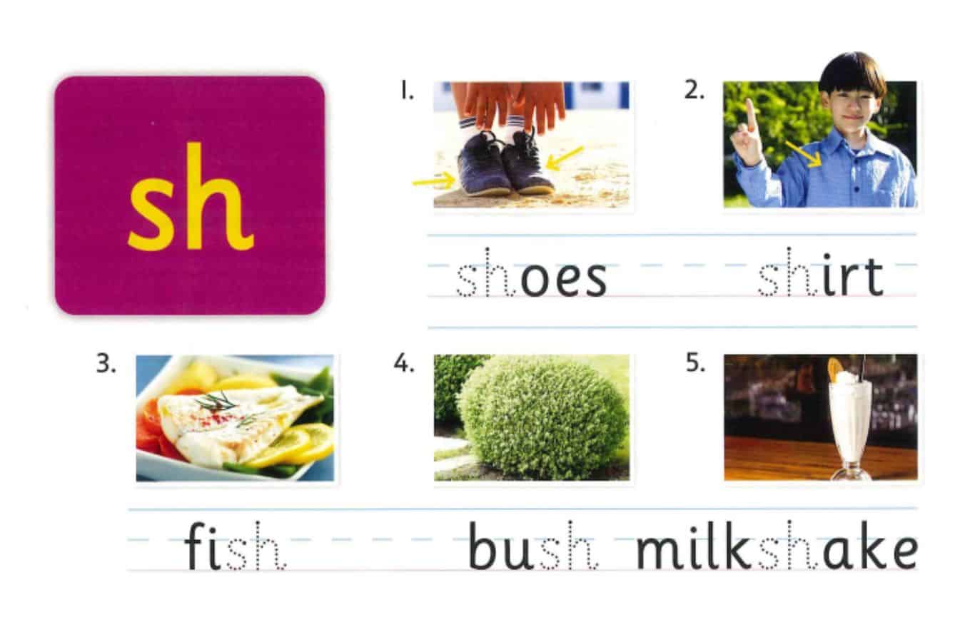 Giáo trình tiếng Anh cơ bản Apollo English unit 8: Phát âm sh