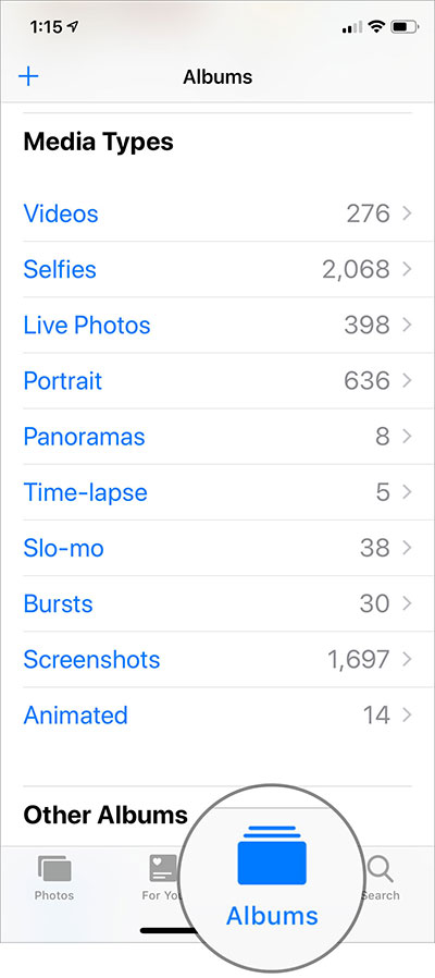 Media Types in iOS 12 Photos App
