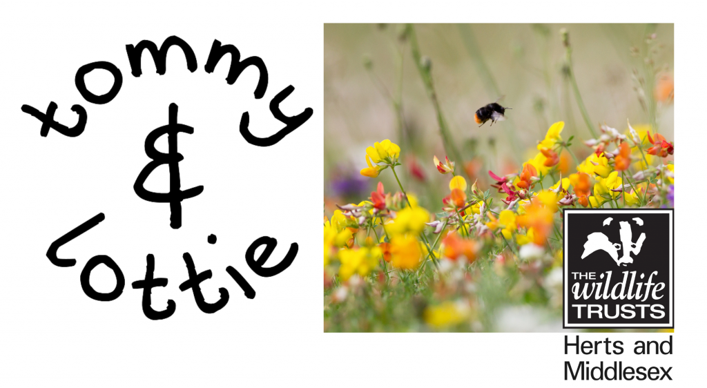 tommy & lottie and the herts and middlesex wildlife trust - world bee day