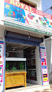 Royal Aquarium & Pets