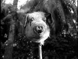 The Lord of the Flies - William Golding