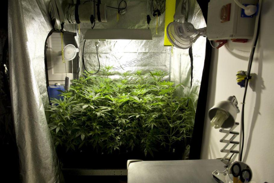 Grow Tent